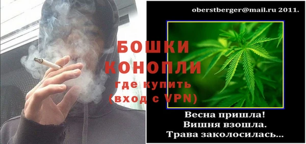 не бодяженный Иннополис