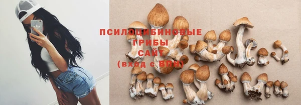 mix Инта