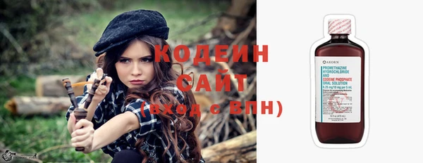 не бодяженный Иннополис