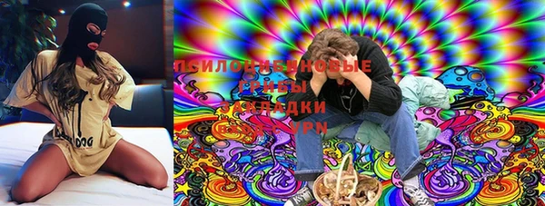 mix Инта