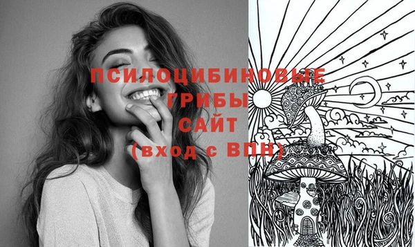 не бодяженный Иннополис