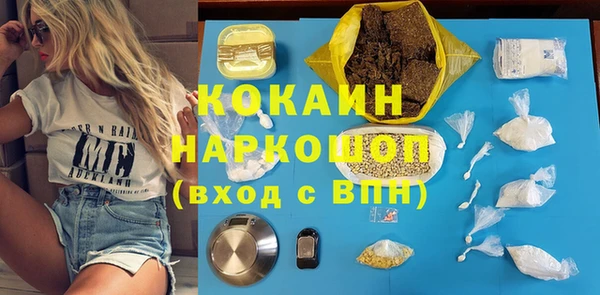 mix Инта