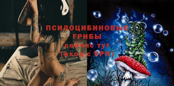 mix Инта