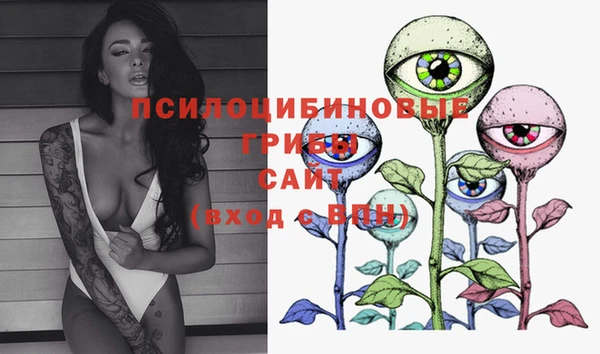 mix Инта