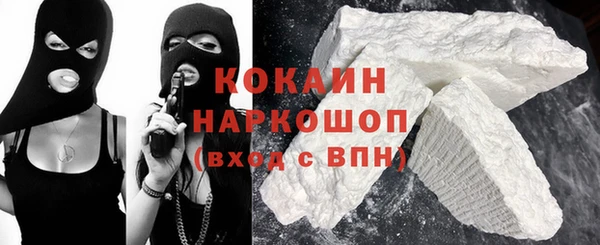mix Инта