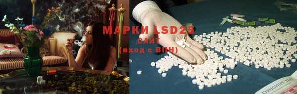mix Инта