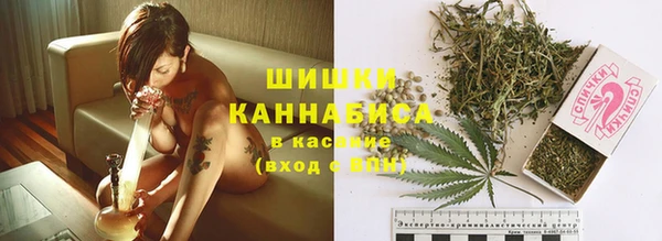 mix Инта