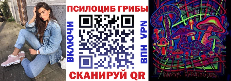 Псилоцибиновые грибы мицелий  Купить где  Любим 
